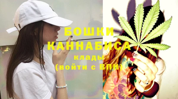 гашик Осташков