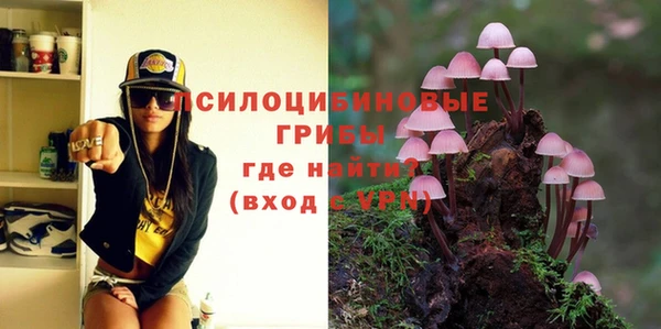 дживик Абаза