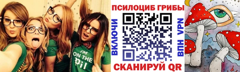 купить закладку Тюмень Псилоцибиновые грибы GOLDEN TEACHER