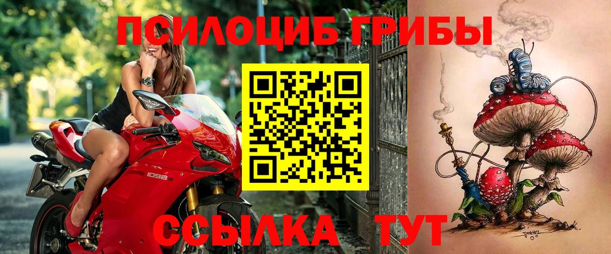 Псилоцибиновые грибы Psilocybine cubensis  Псилоцибиновые грибы Psilocybine cubensis  Тюмень  Вход с VPN 