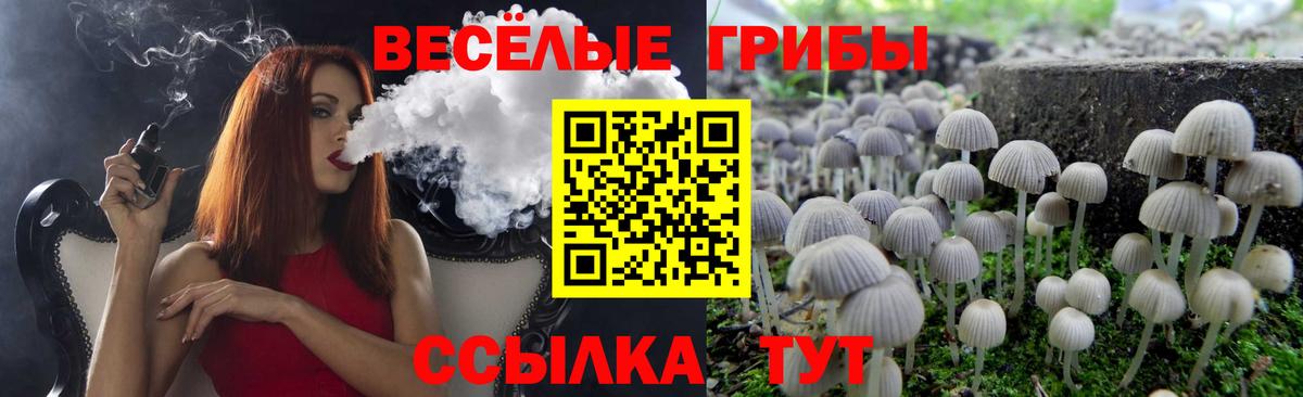 Галлюциногенные грибы Psilocybine cubensis Тюмень